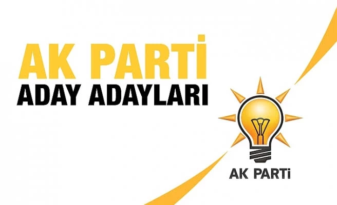 AK Parti Baykan’da Aday Adayı Rekoru