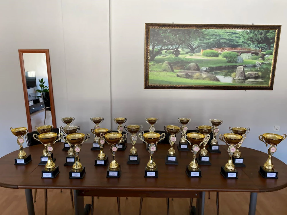 Baykan YBO Spor Dalında 21 Başarı Kupası Aldı.
